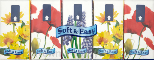 Chusteczki Higieniczne Soft&AmpEasy Kwiaty 10X9 Sztuk