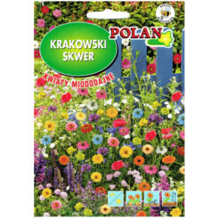 Mieszanka kwiatów Krakowski Skwer kwiaty miododajne