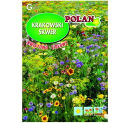 Mieszanka kwiatów Krakowski Skwer kwiatowo-ziołowy