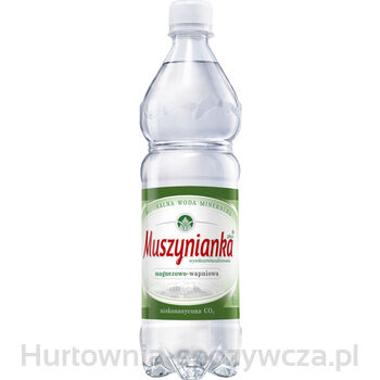 Muszynianka Plus Naturalna Woda Mineralna Częściowo Odgazowana, Wysokozmineralizowana 0,6 L