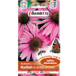 PlantiCo Rudbekia purpurowa