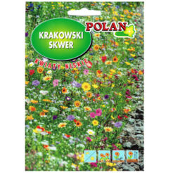 Mieszanka kwiatów Krakowski Skwer kwiaty niskie