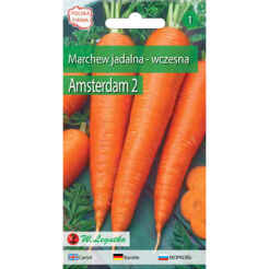 Marchew Jadalna Amsterdam 2 - Wczesna   3G  Seria Bazowa Legutko