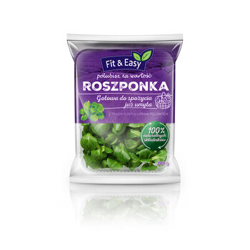 Sałata Roszponka Myta Klasa I  100G