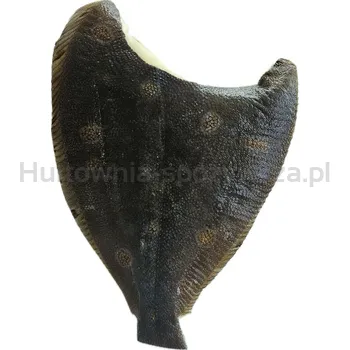 Gładzica Tusza 0,4-1Kg