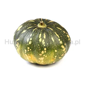 Dynia Muscat Polska około 3 Kg