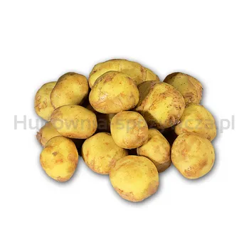 Ziemniak Wczesny Egipt 10Kg