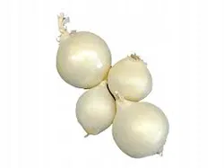 Cebula Biała Hiszpania 1kg