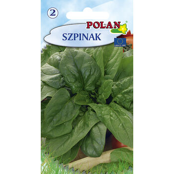 Szpinak Olbrzymi Polan