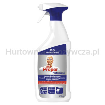 Mr.Proper Professional Środek Do Usuwania Kamienia I Czyszczenia Urządzeń Sanitarnych 750 Ml