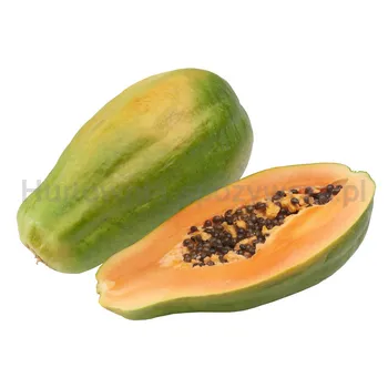 Papaja Formosa Rte Brazylia szt.