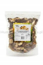 Leśne Skarby Gastronomiczna mieszanka suSzonych grzybów 300g