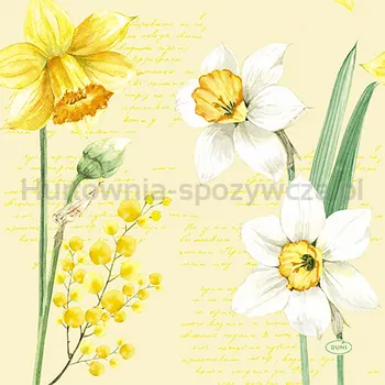 Duni Serwetki 3 Warstwowe 33X33 Cm Spring Daffodil 20 Szt.