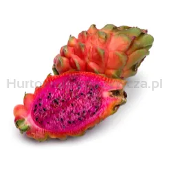 Pitahaya Czerwona Tajlandia szt.