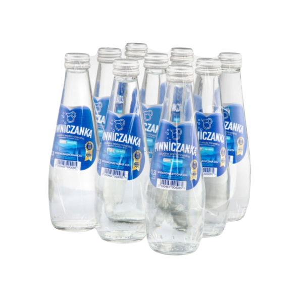 Naturalna woda mineralna wysokonasycona CO2 0,3l