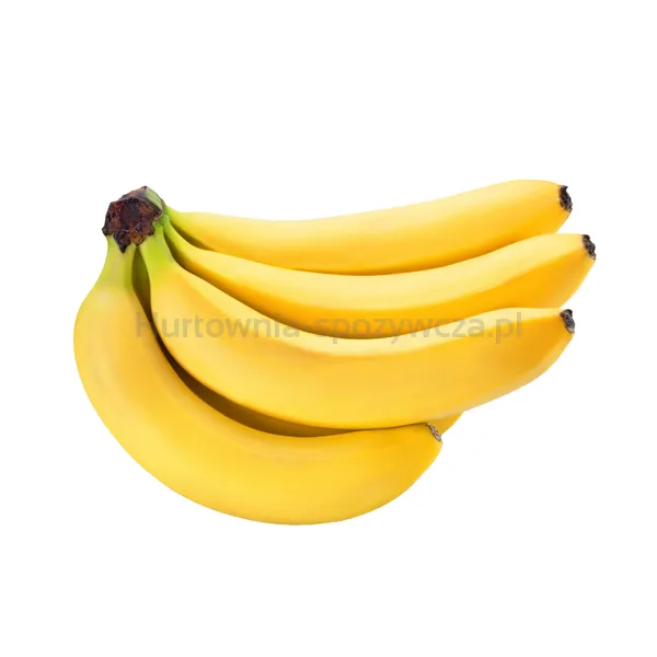 Banany Chiquita Premium 18Kg