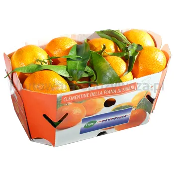 Clementynka Z Liśćmi Klasa I Kosz Włochy 750G