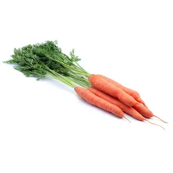 Marchew Wczesna Nać Włochy Szt