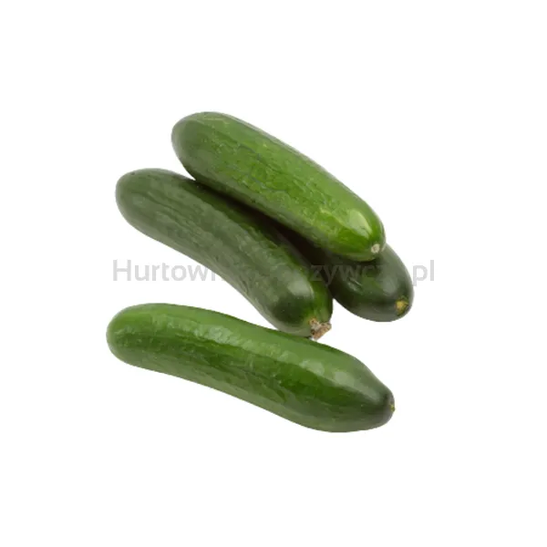 Ogórek Krótki Polska kg