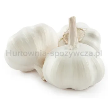 Czosnek Hiszpania 0,9Kg