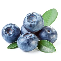 Borówka Amerykańska Chile 250G