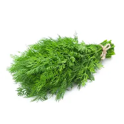 Koperek Pęczek Hiszpania 300G