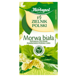 Zielnik Polski Morwa Biała 20Tb/40G