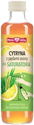 Syrop cytryna z pędami sosny 250 ml