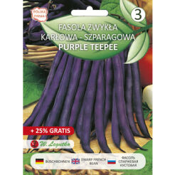 Fasola Zwykła Karłowa Fioletowostrąkowa Purple Teepee   20+5,00G  Seria Bazowa Legutko