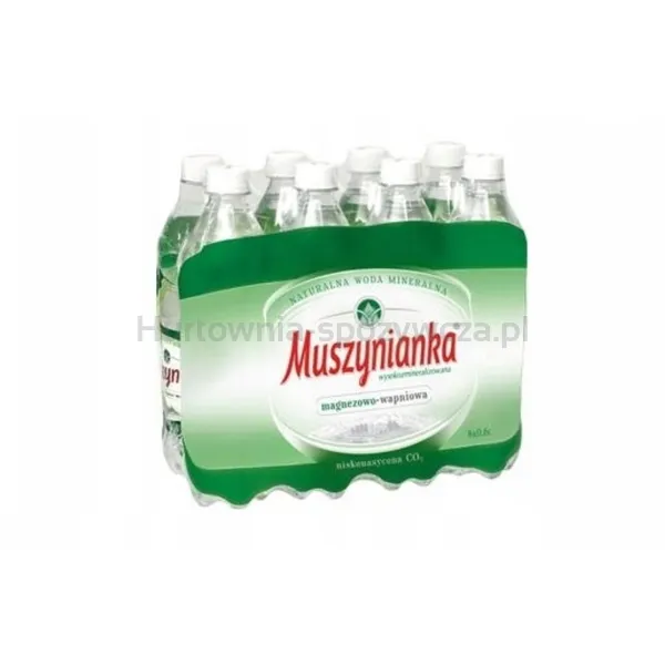 Muszynianka Plus Naturalna woda mineralna częściowo odgazowana, wysokozmineralizowana 0,6 l