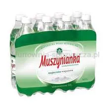 Muszynianka Woda Plus Naturalna częściowo odgazowana, wysokozmineralizowana , niskonasycona CO2 0,6 l SK