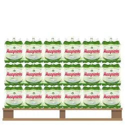 Muszynianka Woda Plus Naturalna częściowo odgazowana, wysokozmineralizowana , niskonasycona CO2 0,6 l<br>Paleta 1080 szt.