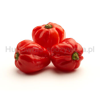 Papryka Ostra Habanero Hiszpania 100G