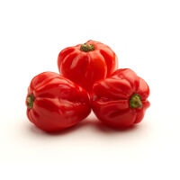 Papryka Ostra Habanero Hiszpania 100G