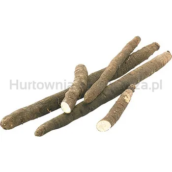 Skorzonera Belgia 1Kg