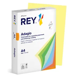 Rey Adagio Papier ksero A4, 80gsm, 49 żółty kanarkowy pastel *RYADA080X423 R200, 500 ark. 