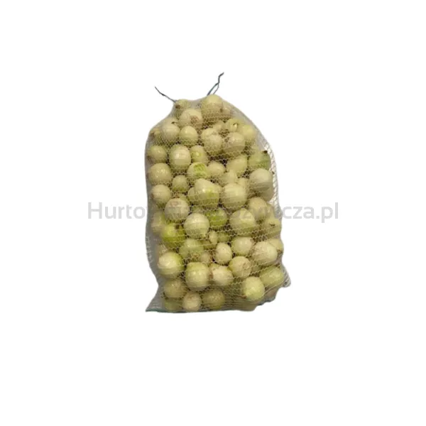 Cebula Bez Łuski Polska 10Kg