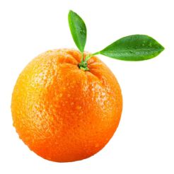 Pomarańcze Valencia Klasa I Egipt Luz