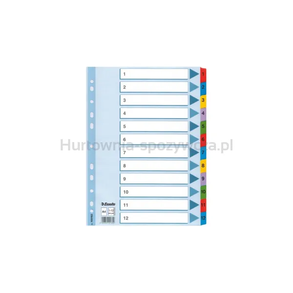Esselte Przekładki kartonowe Mylar A4  biały 1-12