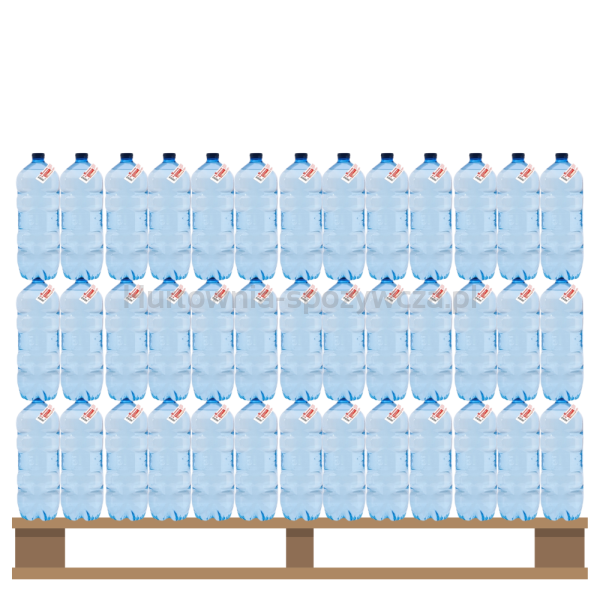 Woda Tge źródlana niegazowana 5 l <br>(Paleta 162 szt.)