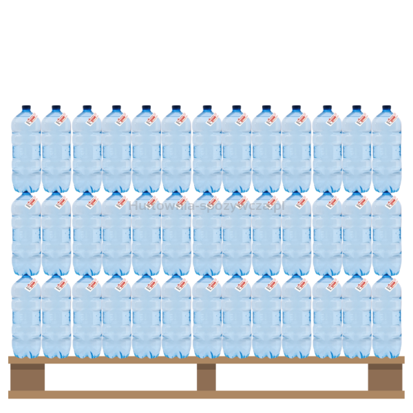Woda Tge źródlana niegazowana 5 l <br>(Paleta 162 szt.)