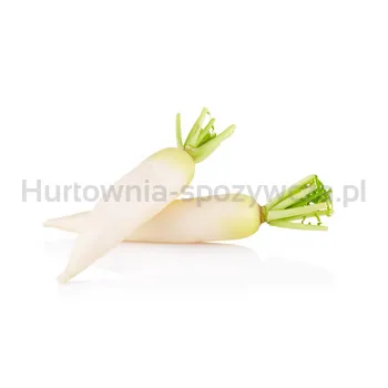 Rzodkiew Biała Polska 10Kg