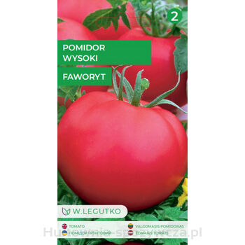 Pomidor gruntowy wysoki Faworyt - owoce bardzo duże, mięsiste 0,5 Legutko
