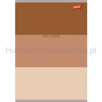 Unipap zeszyt okładka laminowana A5, 60 kartek, krata, historia ze ściągą COLOR STRIPES