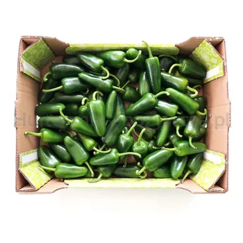 Papryka Ostra Jalapeno Holandia Luz