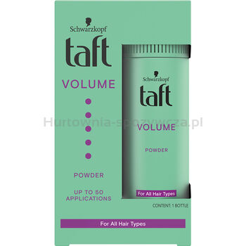 Taft Puder Do Stylizacji Volume 10G