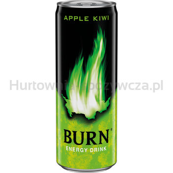 Burn Apple Kiwi 250Ml