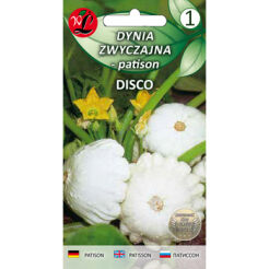 Dynia Zwyczajna - Patison Disco, Biało Kremowy  2G Seria Bazowa Legutko