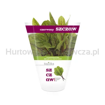 Szczaw Czerwony Doniczka Pl (Szt)