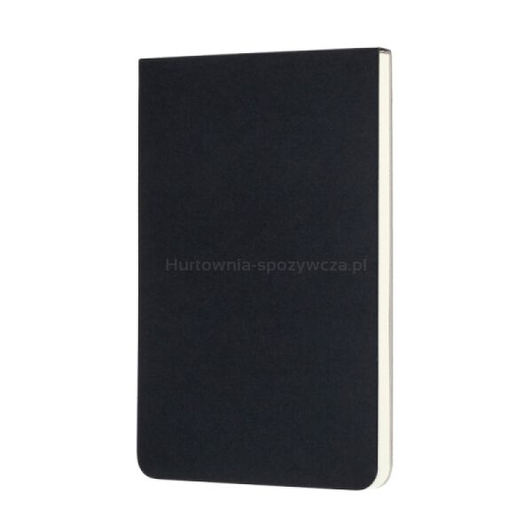 Moleskine Art Sketch Pad Album P (9x14 cm), 48 stron, czarny  - 2